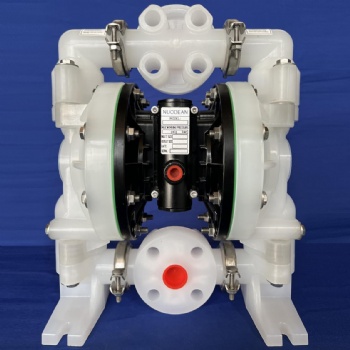 1 Inch DP31 Non-Metallic Diaphragm Pump