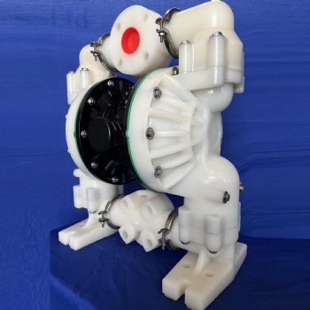 2 Inch DP21 Non-Metallic Diaphragm Pump
