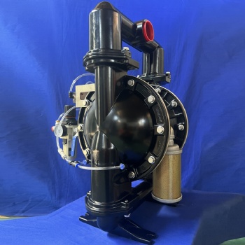 2 Inch Powder Pump