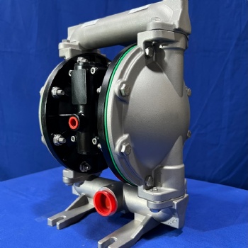 1 Inch DP31 Stainless Steel Diaphragm Pump