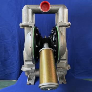 3 Inch DP21 Stainless Steel Diaphragm Pump